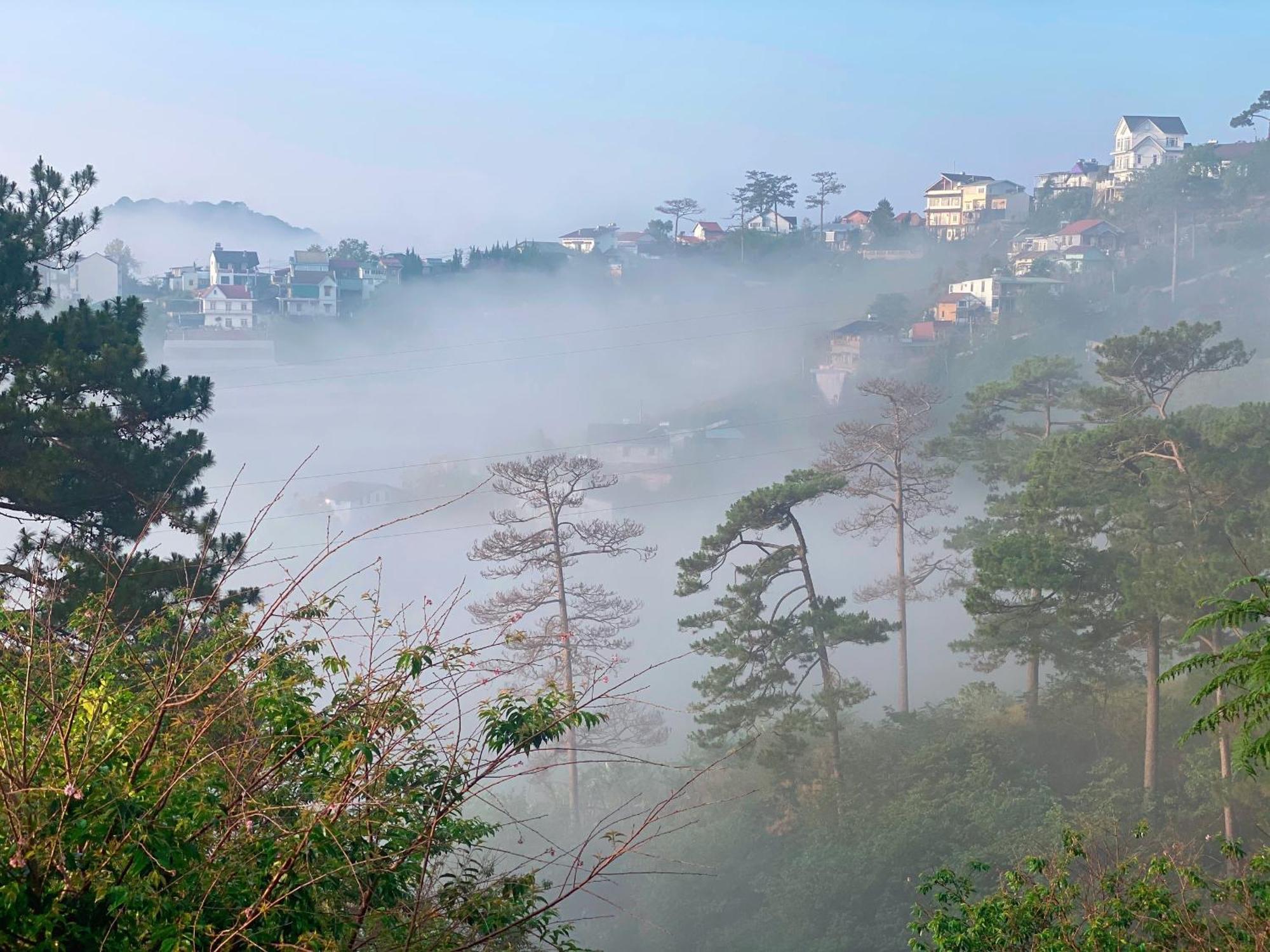 Dalat Memories Homestay - Pho Suong Mo Dalat Exteriör bild