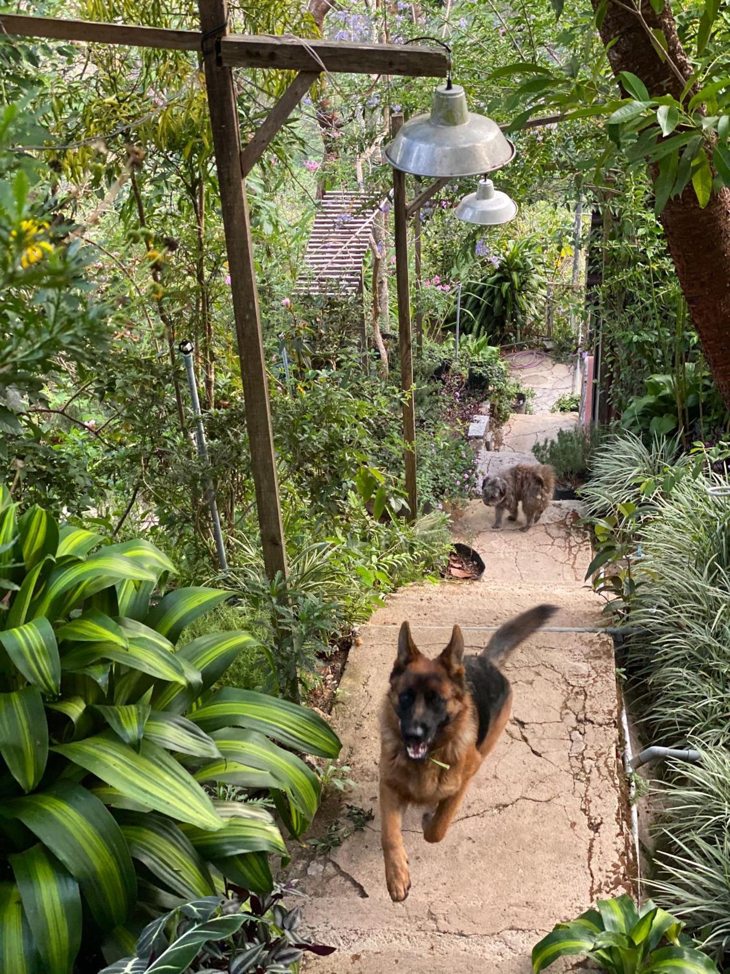 Dalat Memories Homestay - Pho Suong Mo Dalat Exteriör bild